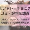 ルシャトーチョコの口コミ・評判を調査！いちじくやレーズンの味は？高島屋などの店舗情報も公開